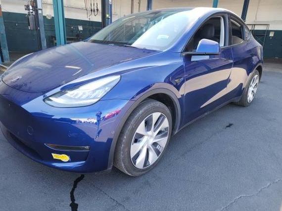 TESLA MODEL Y 2022 7SAYGDEEXNF494177 image